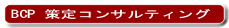 BCP�R���T���e�B���O