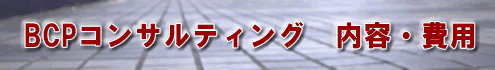 BCP�R���T���e�B���O���e�Ɣ�p
